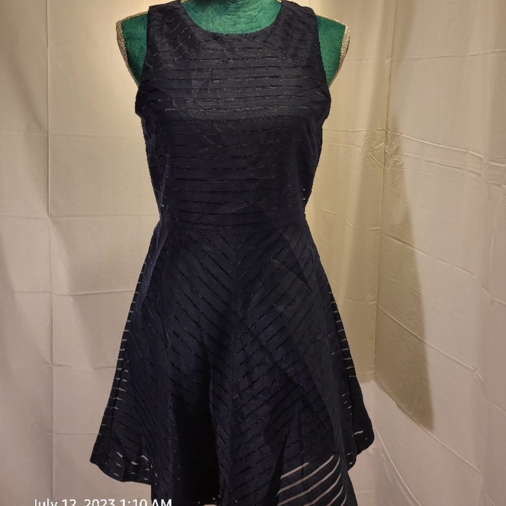 🖤🍌Banana Republic Fit and Flare Sheer Striped Navy Dress 2